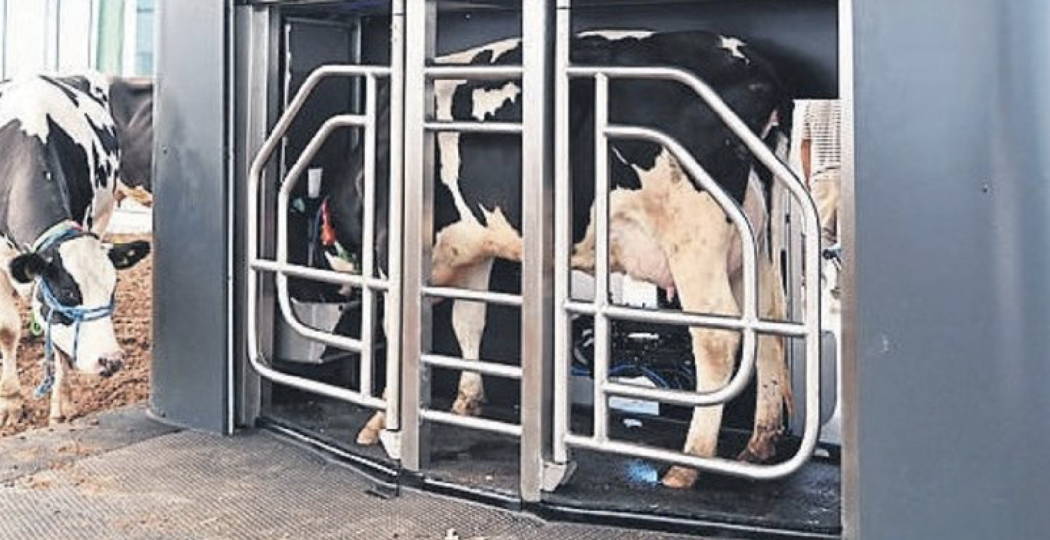 TÜME’den yapay zeka hamlesi